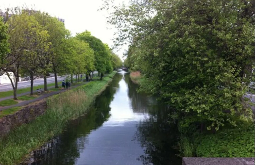 The Leeson Lodge-1